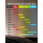 Инфографика этапы полировки с фоном