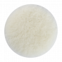 sheep-125_1